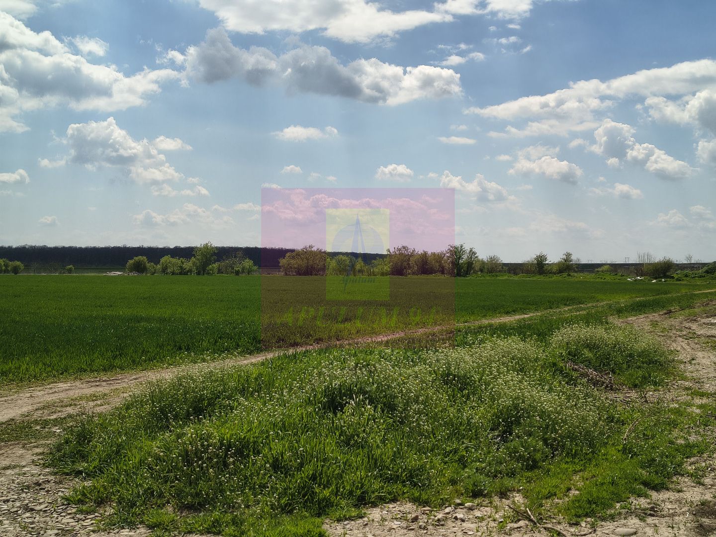 Teren intravilan de vânzare | Posta, Bălăceanca