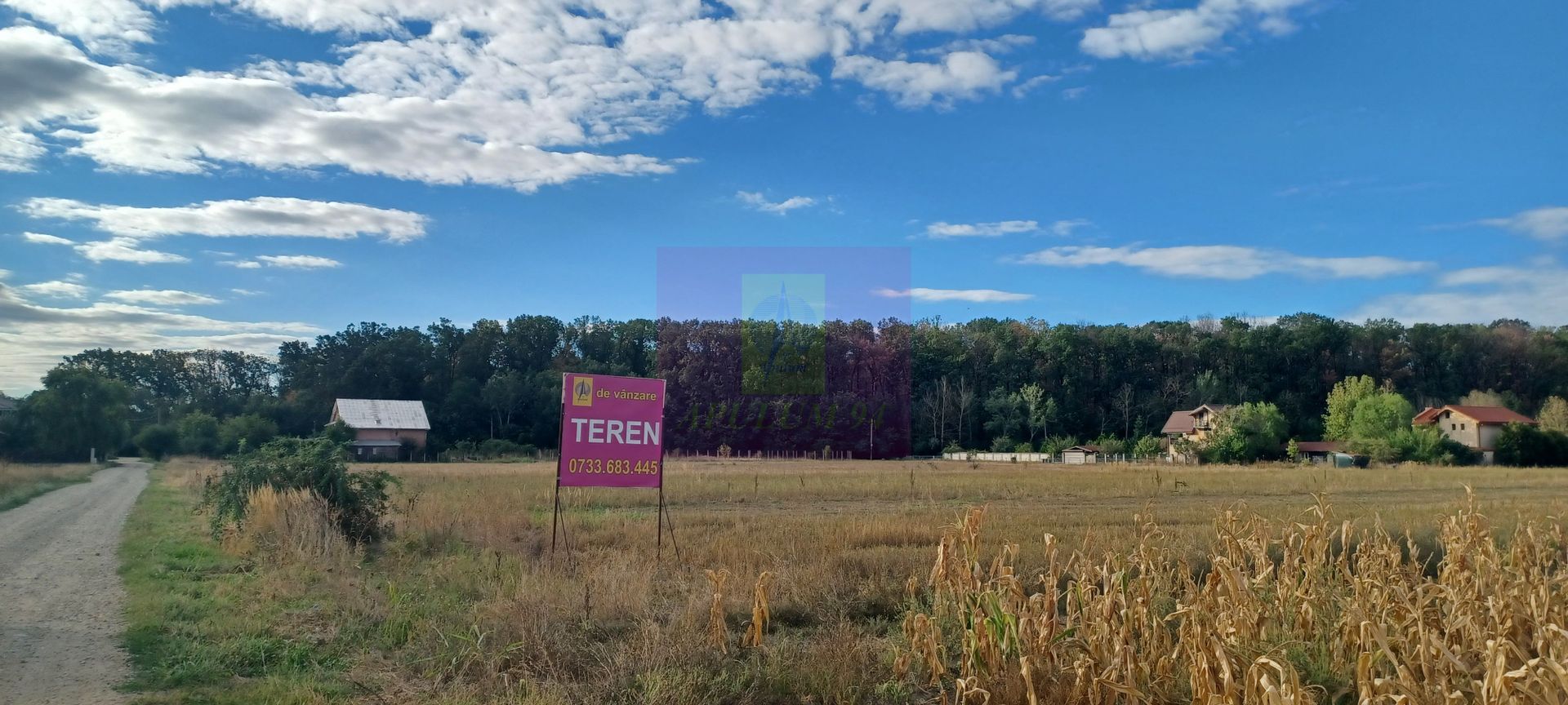 Teren intravilan de vânzare | Gulia